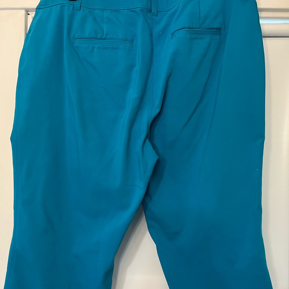 Dress Capris - Picture 2 of 6